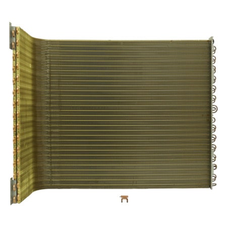 FRENTE-ACG76576201-FOTO-CAPA-Basic-image-450-x-450