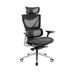 Cadeira Ergonômica Premium KOZZ com Apoio Lombar e Encosto Reclinável - KZ-CE02
